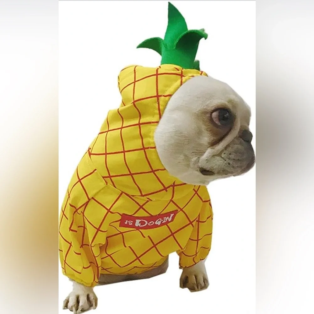 Coppthinku dogin dog
